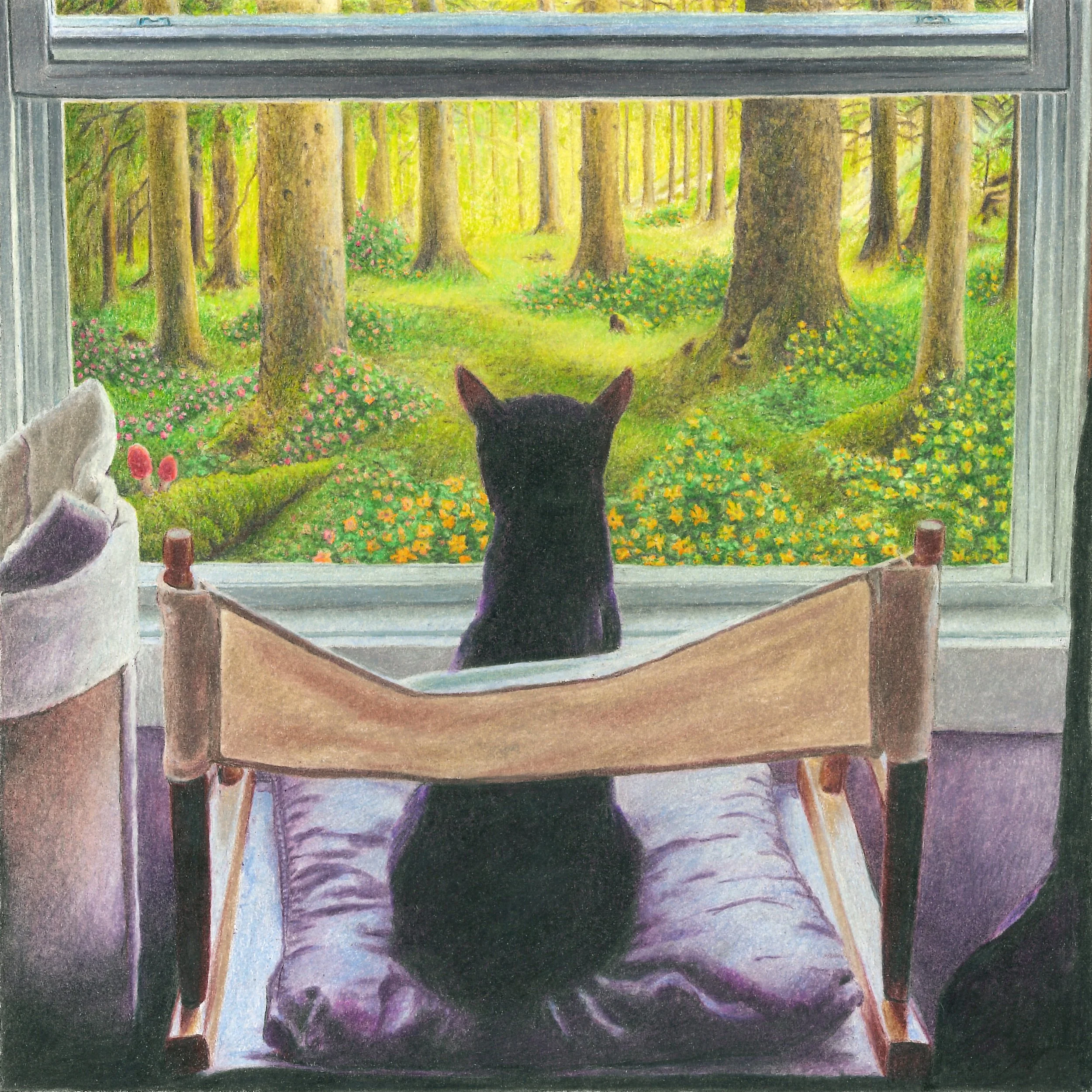 Cat Gaze Colored Pencil Art Print on Fine Art Paper — KDB Art Studio